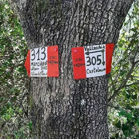 Fattoria Cristina Bilo Rosa Holiday home *