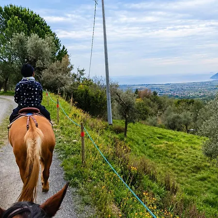 Semesterbostad Fattoria Cristina Family Duplex With Pool, Panoramic Terrace & Farm Animals - Bilo Rosa