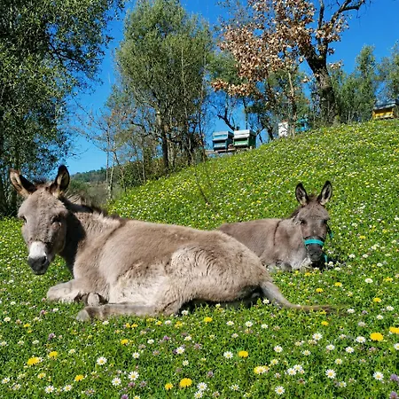 Semesterbostad Fattoria Cristina Family Duplex With Pool, Panoramic Terrace & Farm Animals - Bilo Rosa *