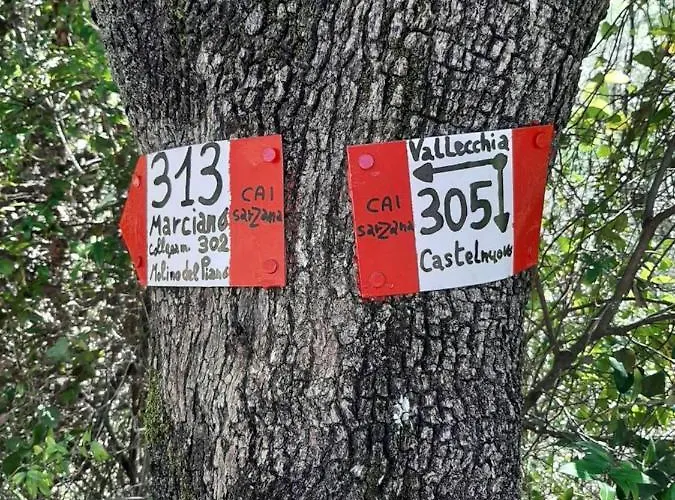 Fattoria Cristina Bilo Rosa Vakantiehuis *